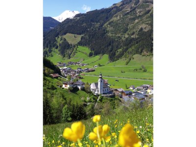 Holiday apartment Wallnerhof - Environment photo 24