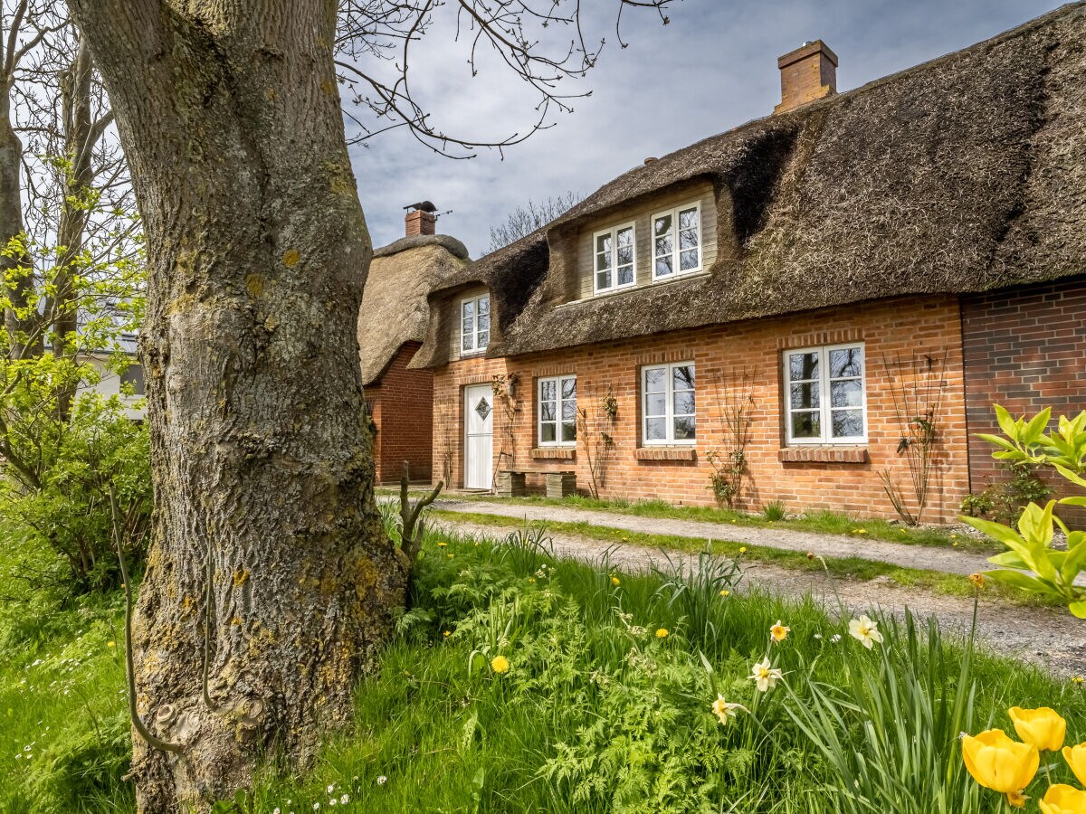 Holiday house Westertilli 8