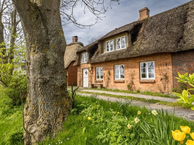 Holiday house Westertilli 8 in Pellworm - Holiday house