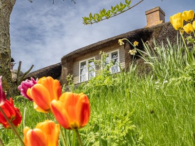 Holiday house Westertilli 8 - Outdoor photo 2