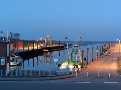 Holiday house Westertilli 8 - Environment photo 29