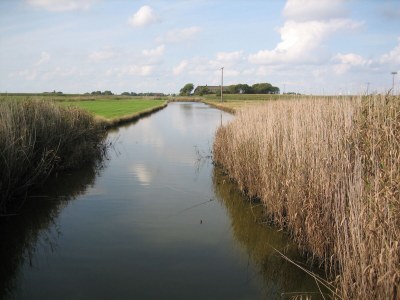 Holiday house Westertilli 8 - Environment photo 30