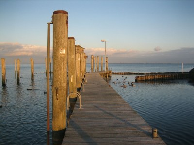 Holiday house Westertilli 8 - Environment photo 33