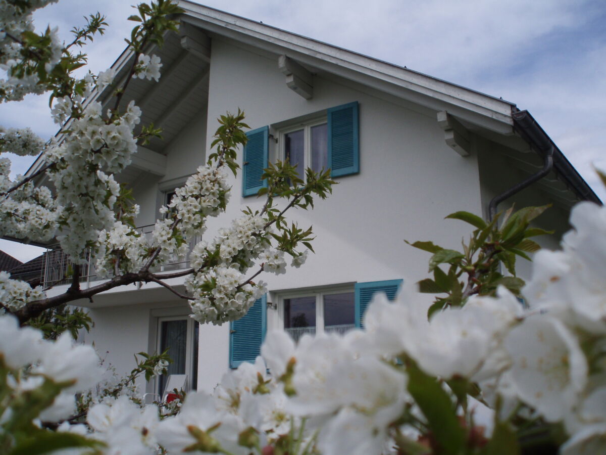 Holiday apartment Private Holiday Home Margret - Outdoor photo 5