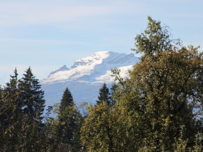 Holiday apartment Private Holiday Home Margret - Outdoor photo 4