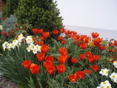 Holiday apartment Private Holiday Home Margret - Outdoor photo 6