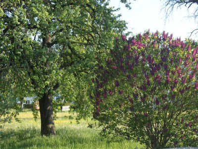 Holiday apartment Private Holiday Home Margret - Outdoor photo 7