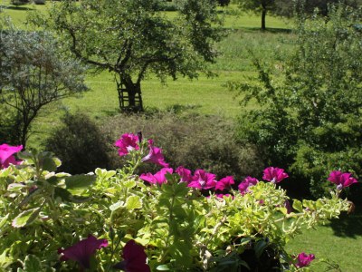 Holiday apartment Private Holiday Home Margret - Outdoor photo 10