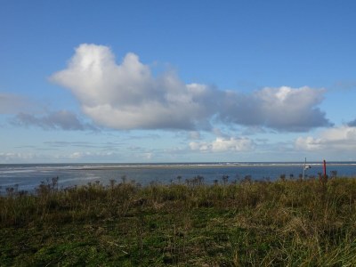 Holiday apartment Lübben - Environment photo 17