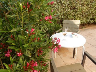 Holiday house Le Jardin du Midi - Outdoor photo 9
