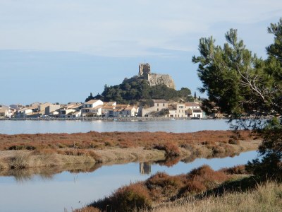 Holiday house Le Jardin du Midi - Environment photo 26