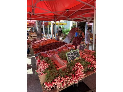 Holiday house Le Jardin du Midi - Environment photo 27