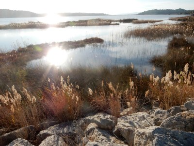 Holiday house Le Jardin du Midi - Environment photo 31