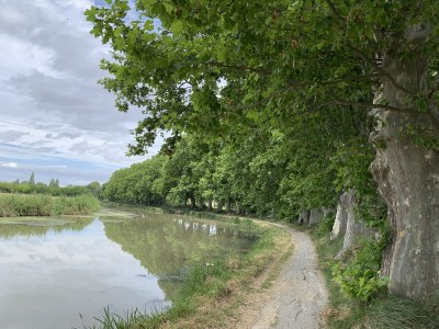 Holiday house Le Jardin du Midi - Environment photo 33
