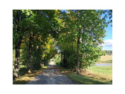 Holiday house Roth - Environment photo 30