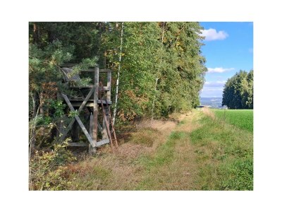 Holiday house Roth - Environment photo 31