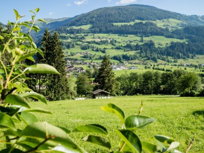 Holiday house Cottage Katharina - Outdoor photo 6