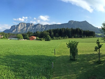 Holiday apartment Schindlauer - Outdoor photo 2