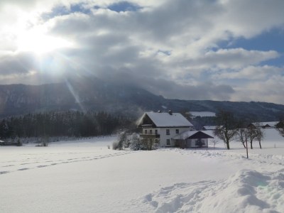Holiday apartment Schindlauer - Outdoor photo 4