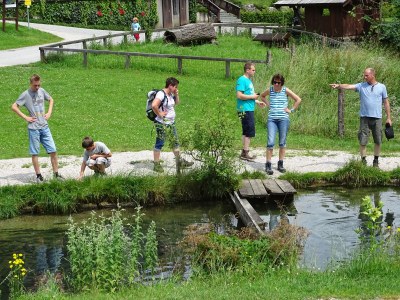 Holiday apartment Schindlauer - Environment photo 19