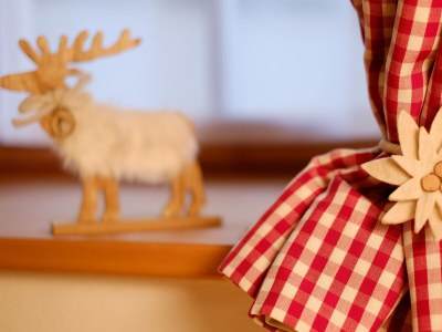 Holiday apartment Tamperhof - Features photo 7