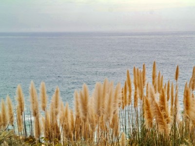 Apartment Apartamento Algarve - Environment photo 22