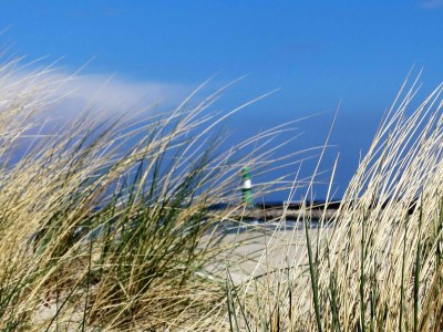 Holiday apartment Krause - Environment photo 14