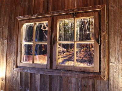 Holiday house Sonnenwaldbungalow 12 - Features photo 10