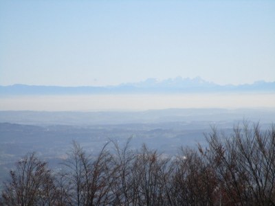 Holiday house Sonnenwaldbungalow 12 - Environment photo 25