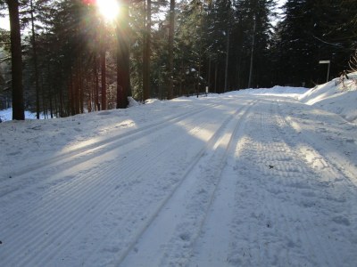 Holiday house Sonnenwaldbungalow 12 - Environment photo 28