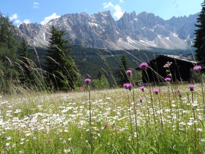 Holiday apartment Akelei - Outdoor photo 6