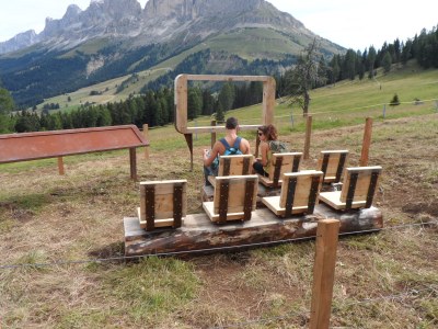 Holiday apartment Akelei - Outdoor photo 14