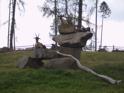 Holiday apartment Akelei - Environment photo 35