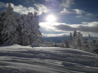 Cottage Mansion in Eben near Ski Salzburger Sportwelt - Environment photo 18