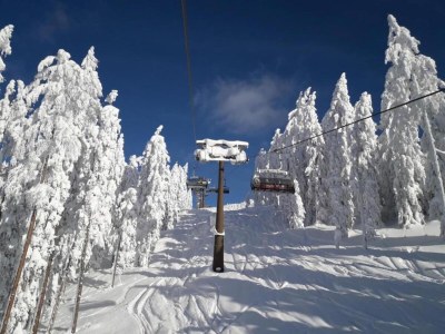 Cottage Mansion in Eben near Ski Salzburger Sportwelt - Environment photo 38