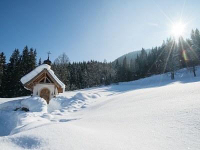 Cottage Mansion in Eben near Salzburger Ski Area - Outdoor photo 4