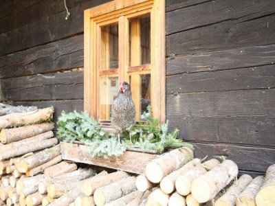 Cottage Mansion in Eben near Salzburger Ski Area - Outdoor photo 24