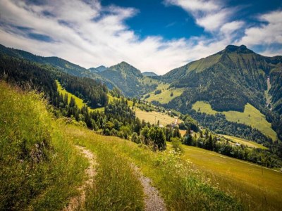 Apartment Wohnung in Flachau nahe Skipisten - Environment photo 30