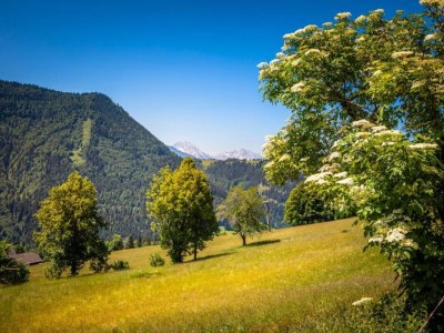 Apartment Wohnung in Flachau nahe Skipisten - Environment photo 33