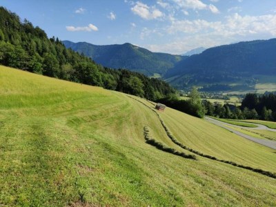 Apartment Wohnung in Flachau nahe Skilift - Environment photo 17