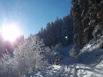 Apartment Wohnung in Lungau nahe Skipisten - Environment photo 28