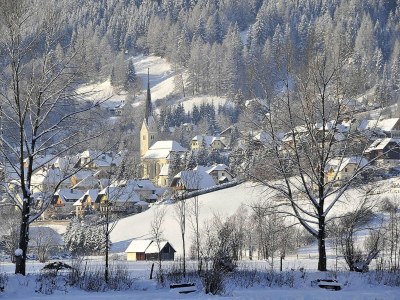 Apartment Wohnung in St. Michael nahe Skipisten - Environment photo 28