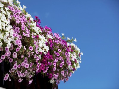 Apartment Chalet in Sankt Johann near Ski Lift - Outdoor photo 27