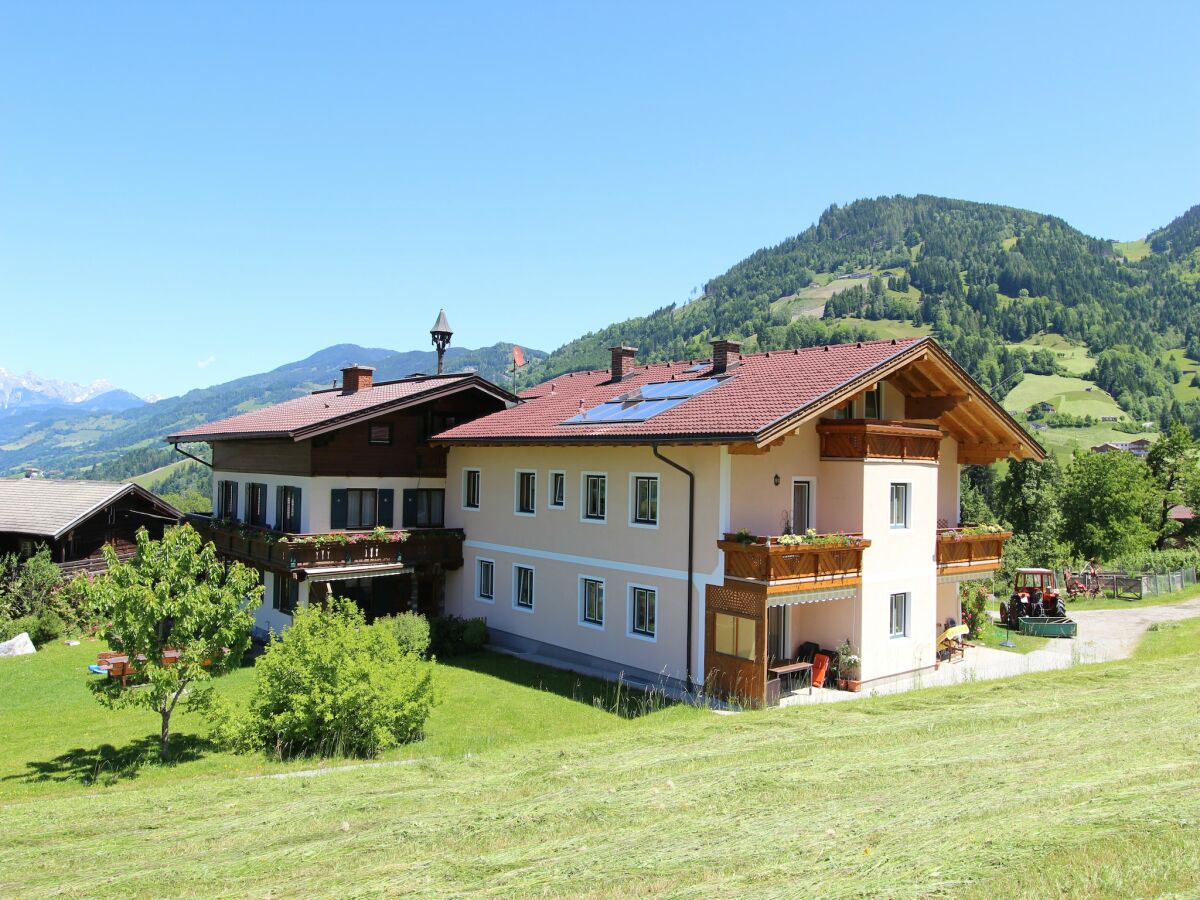 Apartment Wohnung in Sankt Johann nahe Skigebiet