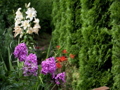 Apartment Wohnung in Wagrain nahe Skipisten - Outdoor photo 24