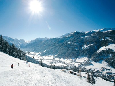 Apartment Apartment in Kleinarl near Ski Slopes - Environment photo 29