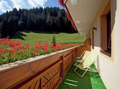 Apartment Apartment in Kleinarl near Ski Slopes - Outdoor photo 14
