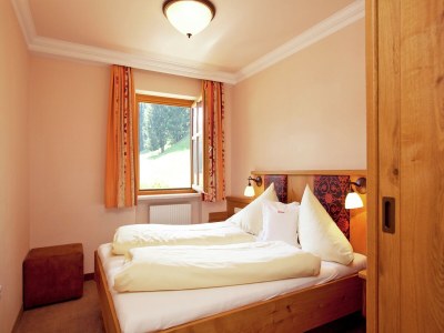 Apartment Apartment in Kleinarl near Ski Slopes - Features photo 19