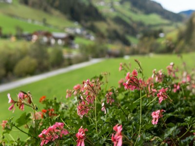 Apartment Wohnung Grossarl nahe Skipisten - Outdoor photo 21
