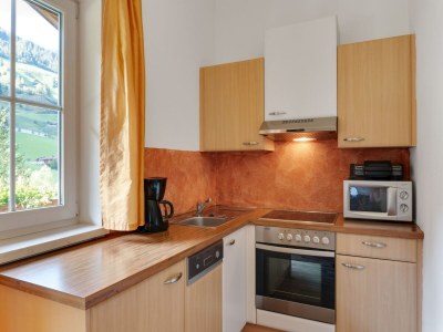 Apartment Apartment in Grossarl near Ski Slopes - Features photo 18